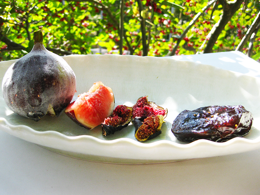 佐賀県唐津の「青イチジク（キング種）」初夏にぴったりの口の中でとろけ、氷砂糖のような上品な甘さ